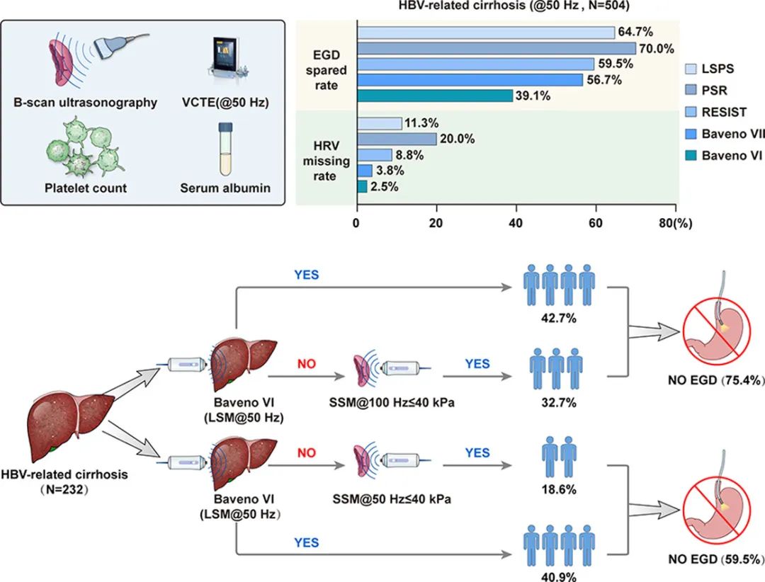 JOH丨南方醫(yī)科大學(xué)陳金軍教授團(tuán)隊(duì)：脾臟硬度測(cè)量可減少75%慢乙肝肝硬化的胃鏡篩查