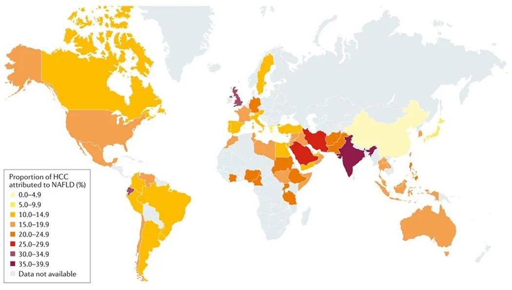Nature 綜述：中國(guó)脂肪肝相關(guān)肝癌發(fā)病率將升高86%，急需預(yù)防！