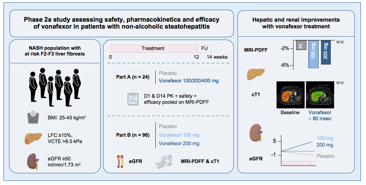 FXR激動(dòng)劑對(duì)疑似纖維化NASH患者的肝臟和腎臟改善