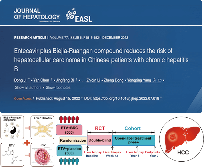 復方鱉甲軟肝片聯(lián)合抗病毒藥物治療，可顯著降低肝癌發(fā)生